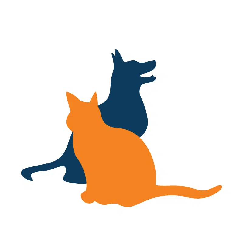 Moving To South East Asia With My Pets