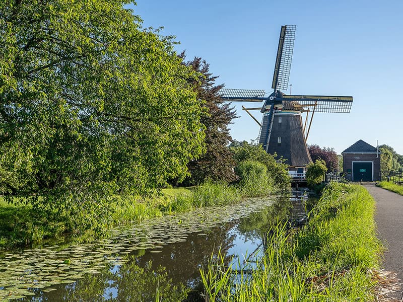 moving to amsterdam from australia oss world wide movers